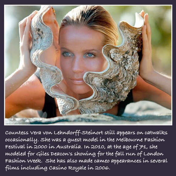 ❌ 12-15 JUST FASHION SHARE - Picture 14 of 16